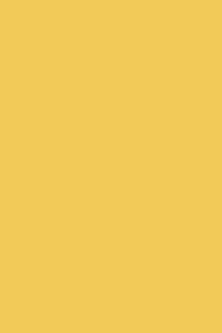 Yellow Ground (218)