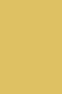 Ciara Yellow (73 Archive)